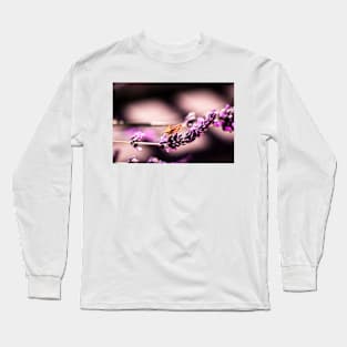 Fiery skipper butterfly on lavender Long Sleeve T-Shirt